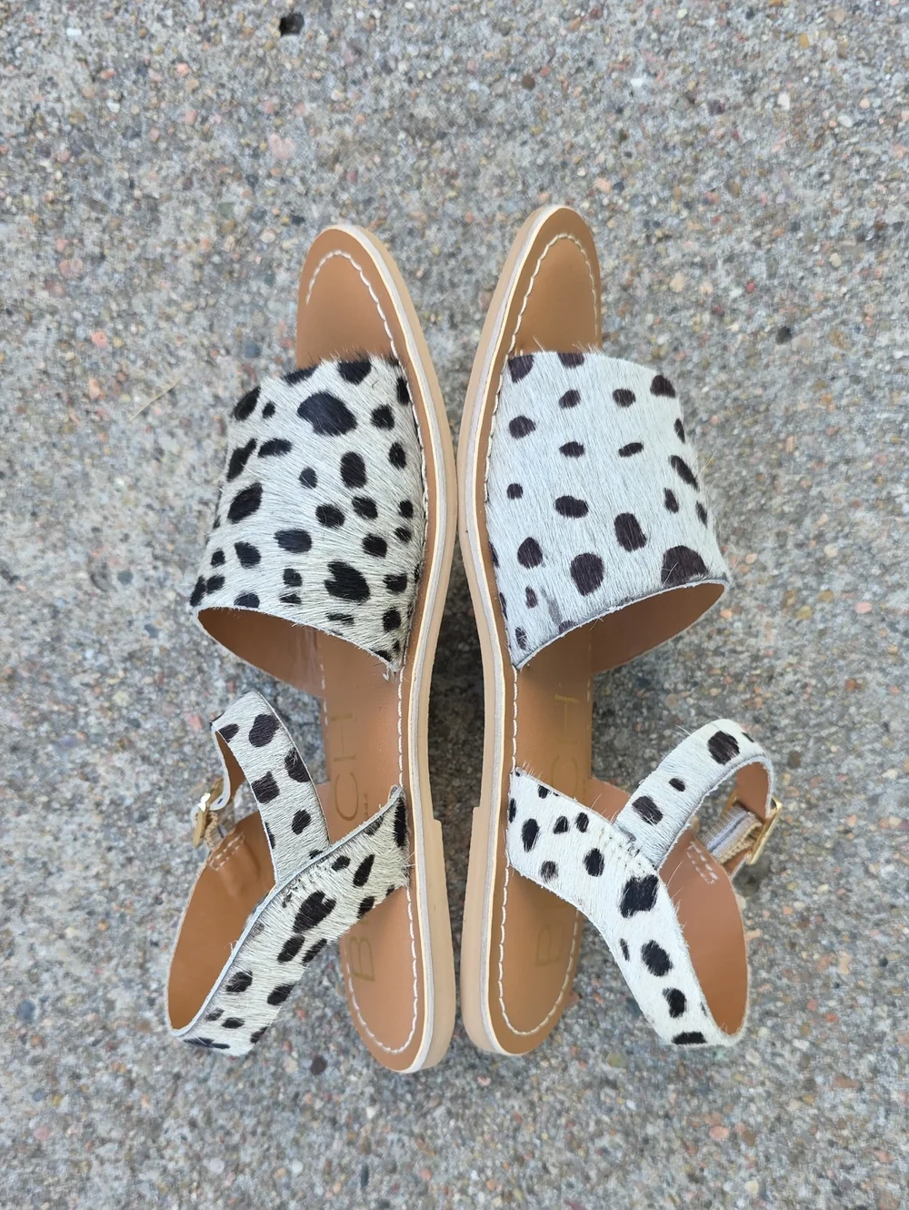 NWT Beach by Matisse Lil Cabana Cow Hair  Leather Spotted Leopard Print Sandals